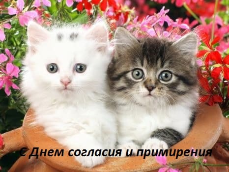 день согласия и примирения как пишется