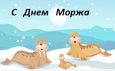 день моржа в дет саду