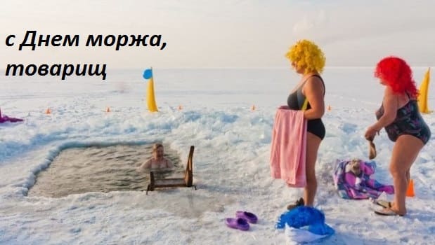 день моржа в тюмени 2018