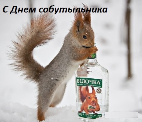 когда день собутыльника