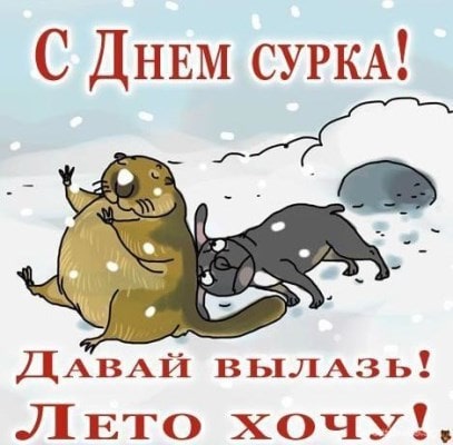 рисунки на день сурка