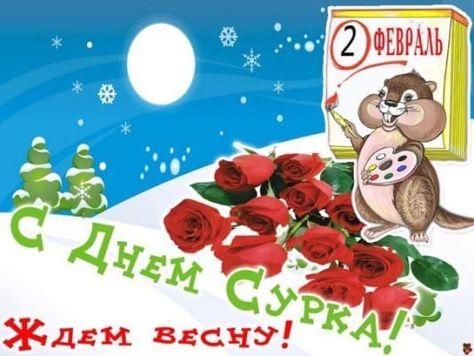 день сурка поздравления картинки