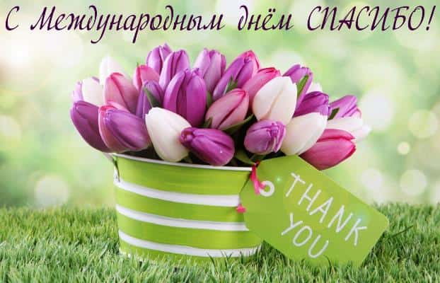 день спасибо в 2019 году какого числа