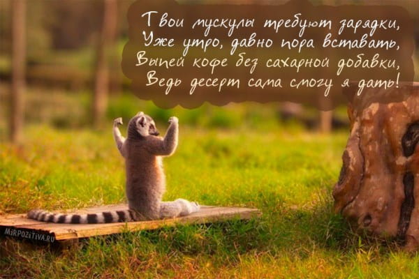 стихи про утро