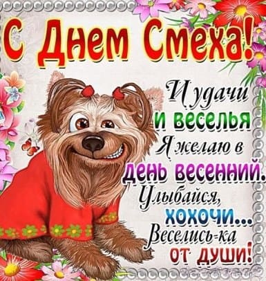 собака фото