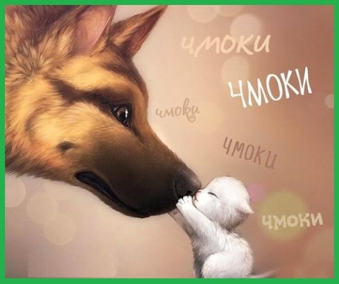 картинки с днем поцелуя прикольные скачать