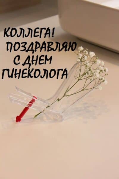 день гинеколога