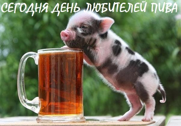 картинки с днем любителей пива