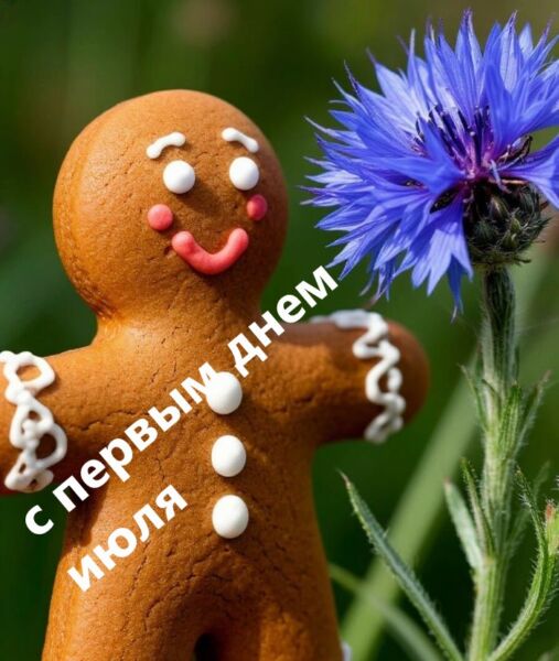 прикольная картинка 1 июля девушке