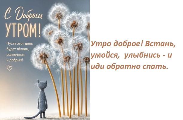 июльское доброе утро картинки пожелания приколы